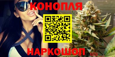 трава Абакан