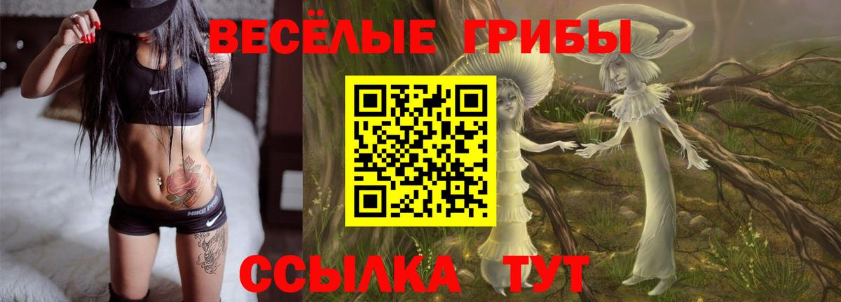 Псилоцибиновые грибы Psilocybine cubensis Абинск